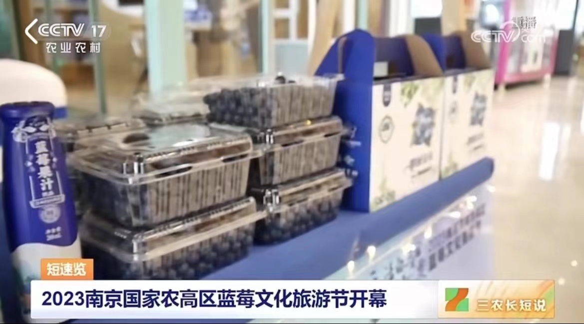 南京國家農高區藍莓文化旅游節啟動
